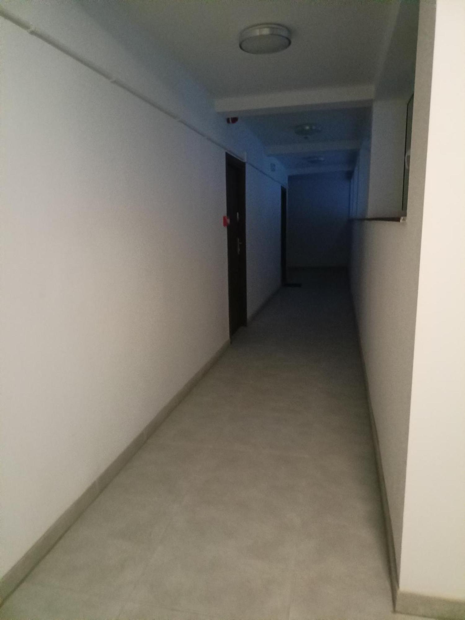 Apartment 84 *
